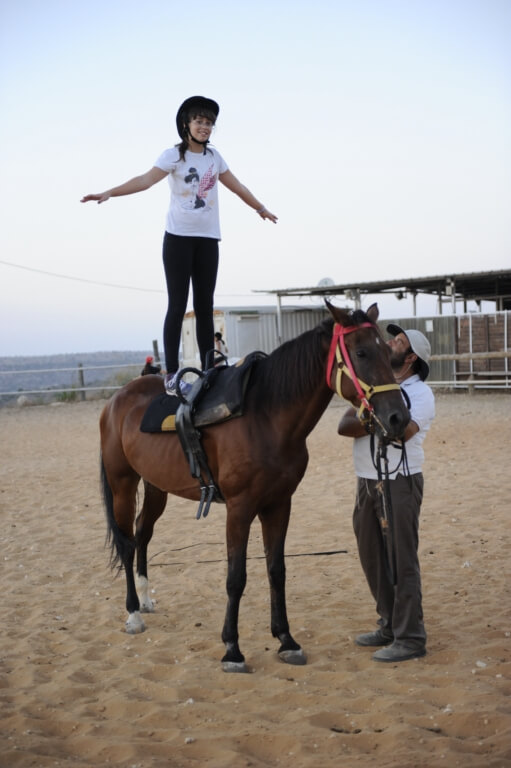 חשיבות החווה הטיפולית 