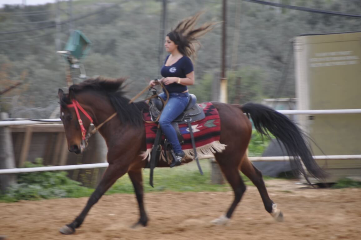 רכיבה טיפולית על סוסים המלצה