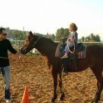 חוות סוסים טיפולית המלצה
